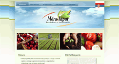 Desktop Screenshot of morainput.hu