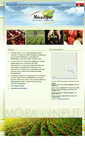 Mobile Screenshot of morainput.hu
